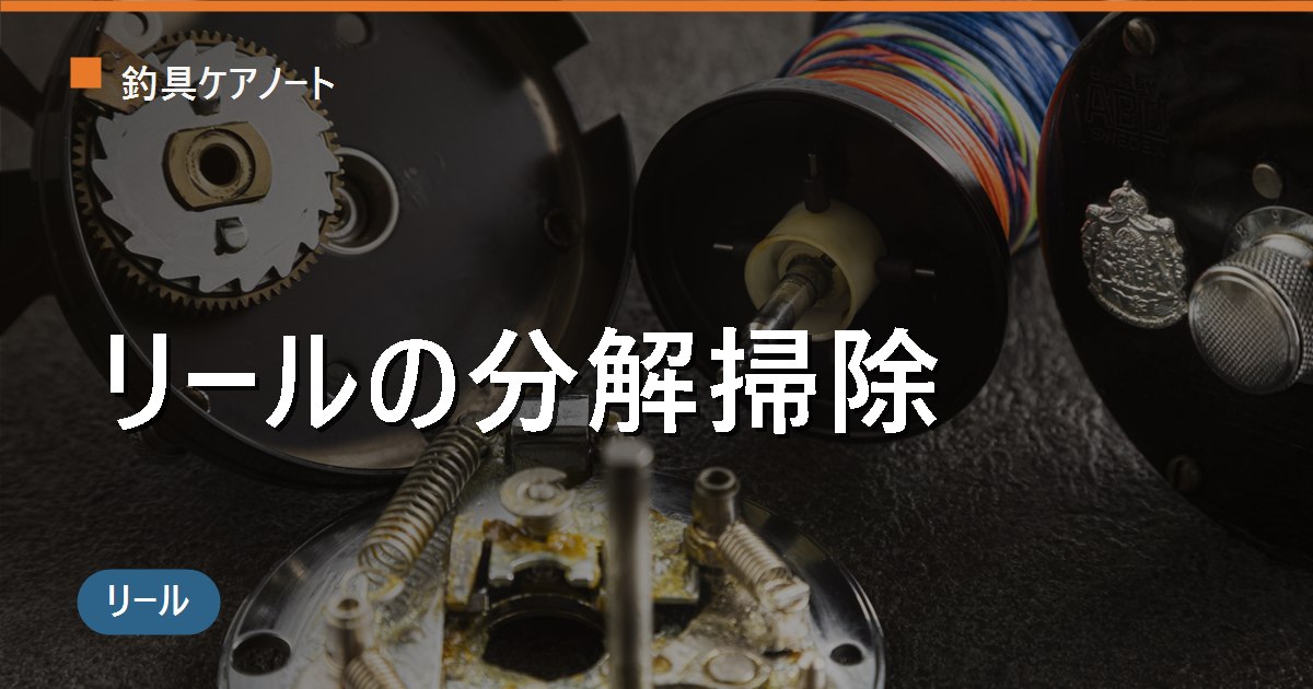 リールの分解掃除のやり方｜スピニングリールを自分で分解して砂・塩・古いグリスを落とす手順